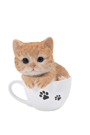 PET PALS - TEACUP KITTEN ORANGE TABBY